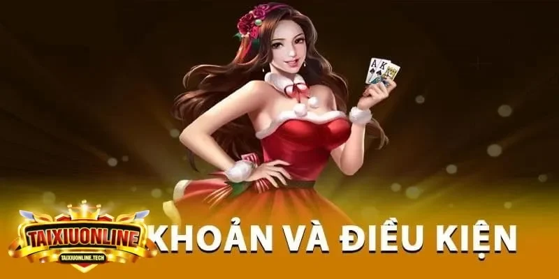 điều khoản và điều kiện